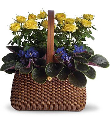 Garden To Go Basket from Richardson's Flowers in Medford, NJ